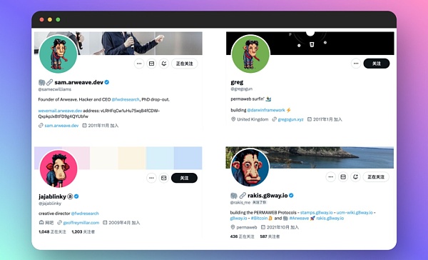 解讀Dumdumz熱潮：戲謔與不朽 重奏Arweave Mem 圖片